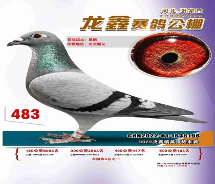 信鸽信息网各地公棚(信鸽信息网各地公棚2022051266694)